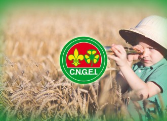 big-pic-CNGEI